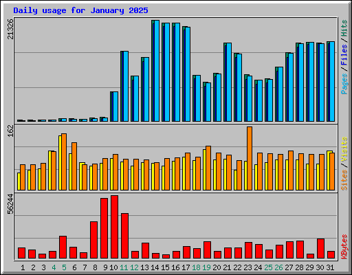 Daily usage for January 2025