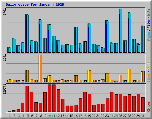 Daily usage for January 2026