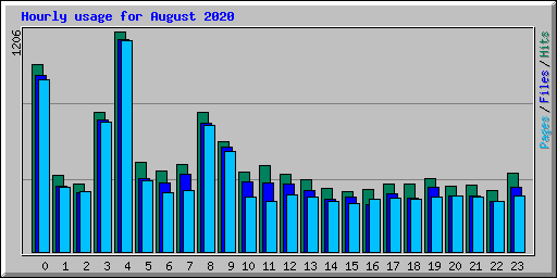 Hourly usage for August 2020