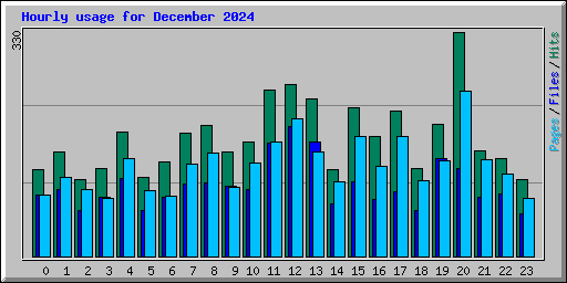 Hourly usage for December 2024