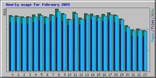 Hourly usage for February 2025