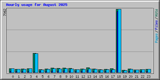 Hourly usage for August 2025