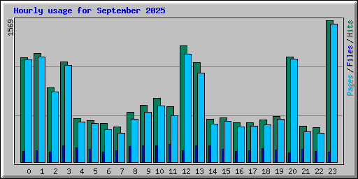 Hourly usage for September 2025