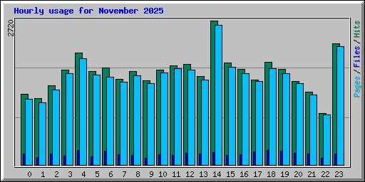 Hourly usage for November 2025