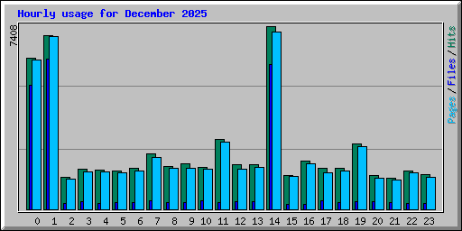 Hourly usage for December 2025